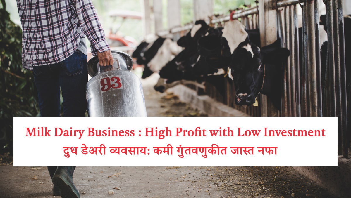Milk Dairy Business : High Profit with Low Investment, दुध डेअरी व्यवसाय: कमी गुंतवणुकीत जास्त नफा
